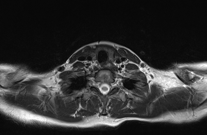 Series: 20080119203737