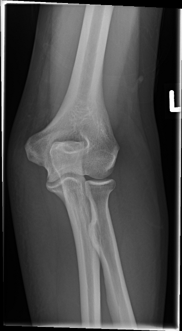 Series: 20100908133334